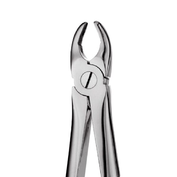 1 - Upper Anterior Forceps