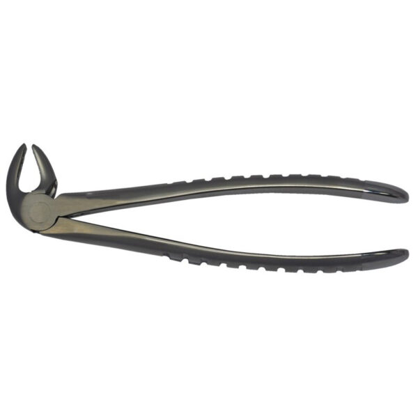 13 - Lower Premolars Forceps