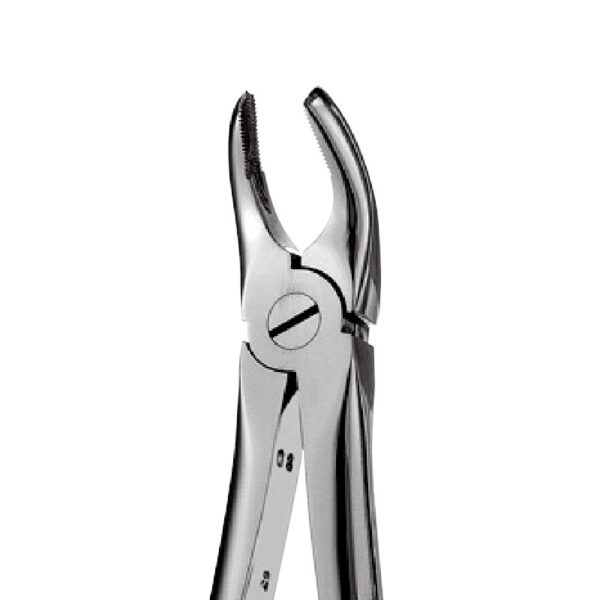 17 - Right Upper Molars Forceps