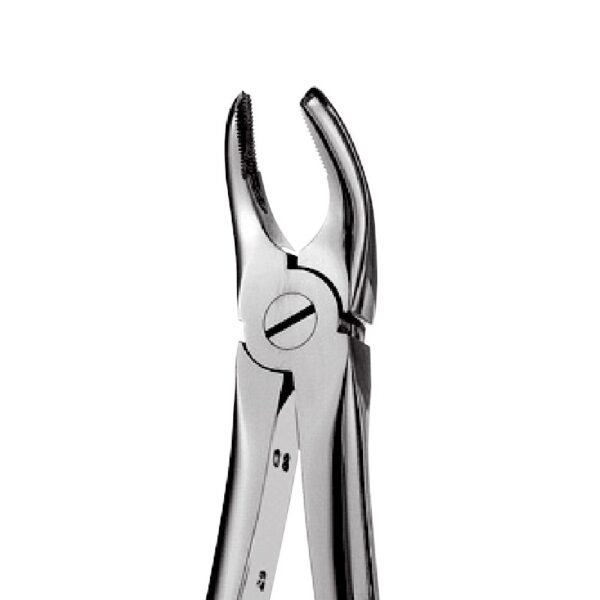 17 - Right Upper Molars Forceps