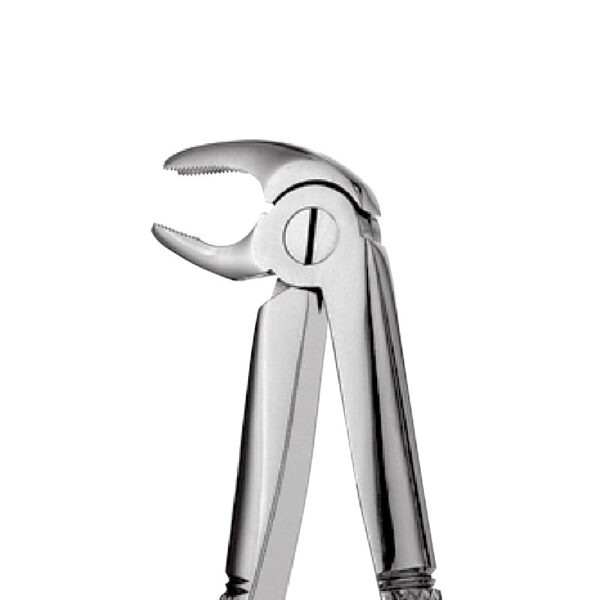 22 - Lower Molars Forceps