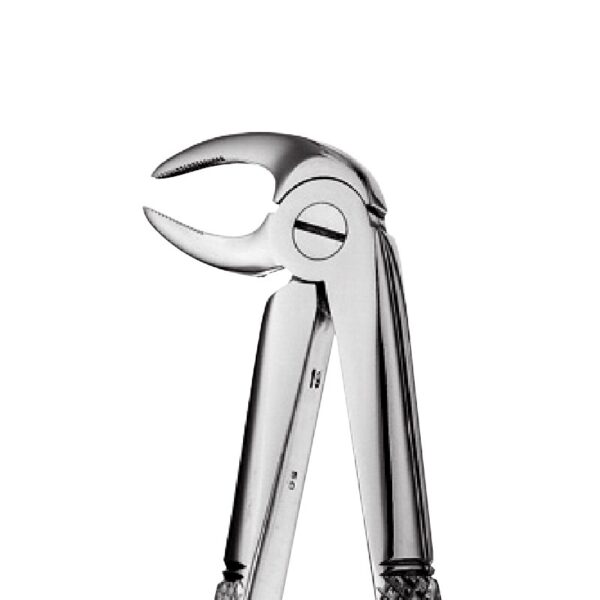 33A - Lower Roots Forceps