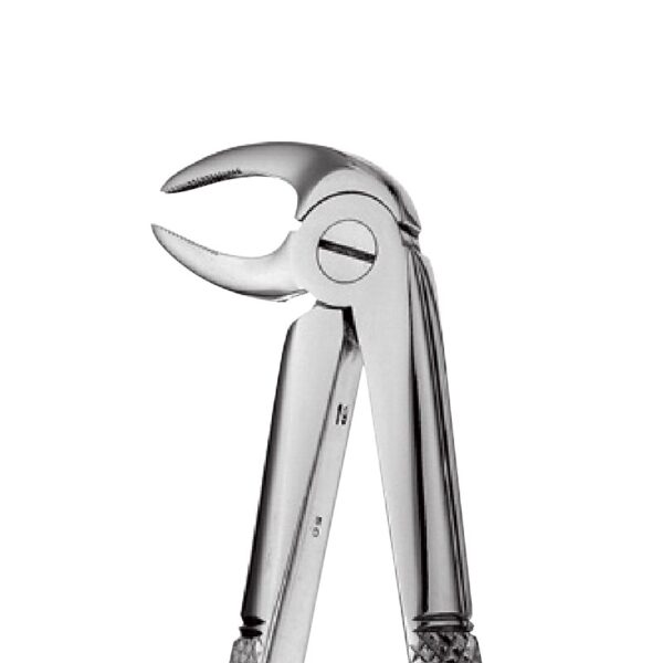33A - Lower Roots Forceps