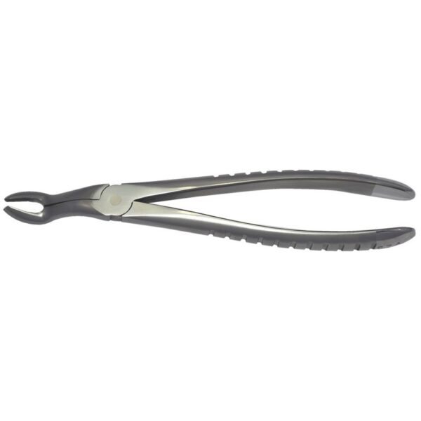 67A - Upper Third Molars Forceps