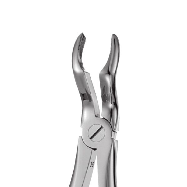 67A - Upper Third Molars Forceps