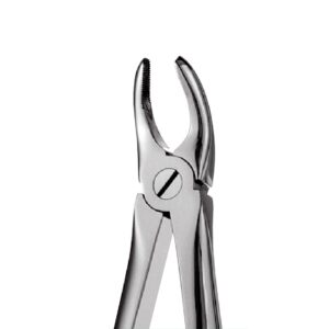 7 - Upper Premolars Forceps