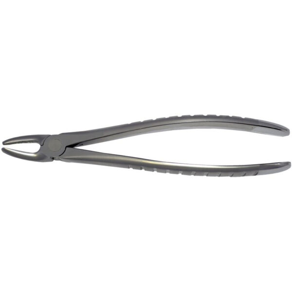 7 - Upper Premolars Forceps