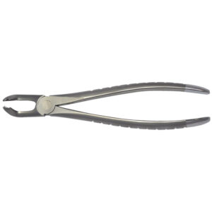 79 - Lower 3rd Molars Forceps
