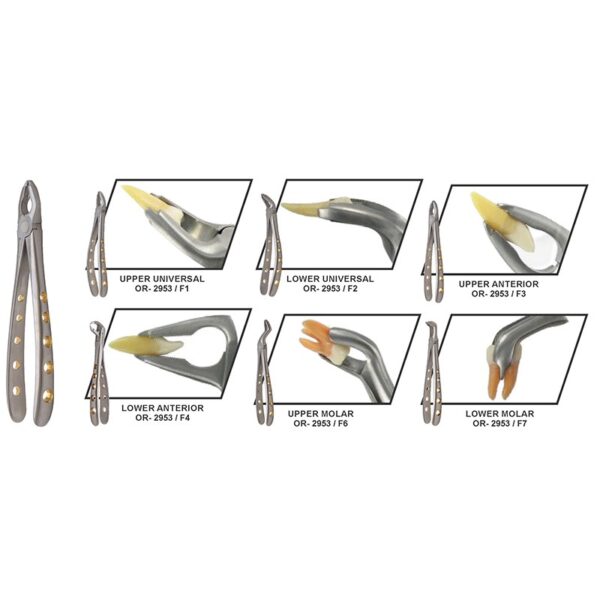 Deep Grip Extraction Forceps Set