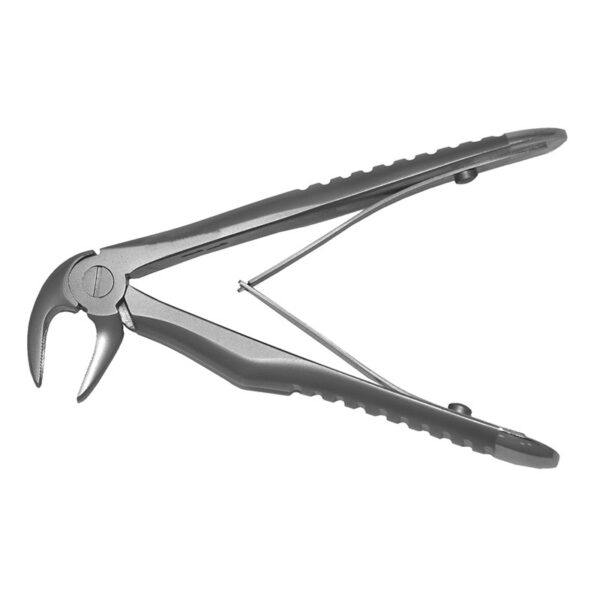 Lower Molars