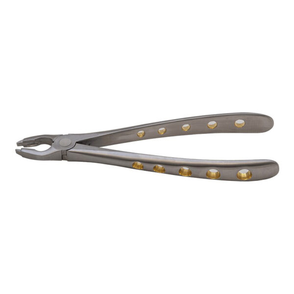 Upper Anterior